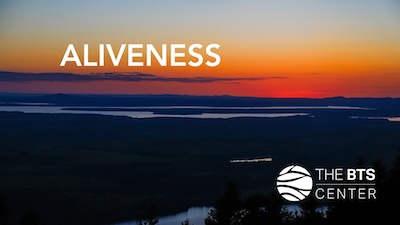 AlivenessAug 2025