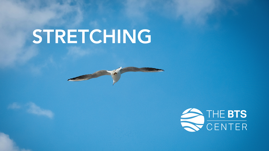 Stretching-Sept2025 Sea Gull flying in the sky